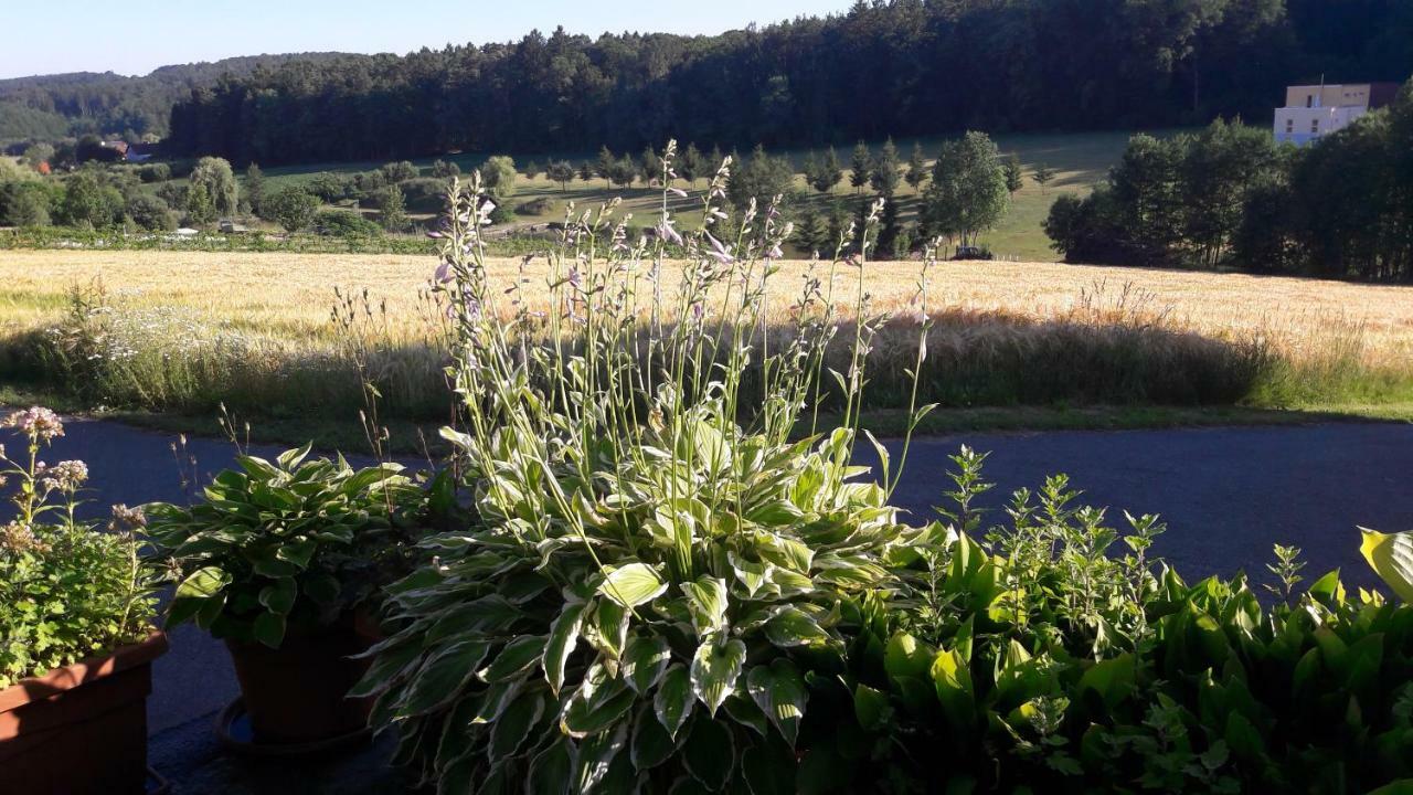 Ferienhaus Planetz Kaindorf  Kültér fotó